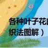 各種葉子花的織法圖解 單個（各種葉子花的織法圖解）
