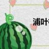 浦葉棟和林志穎（浦葉棟）