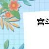 宮斗戲啥意思（宮斗戲）