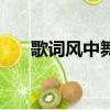 歌詞風中舞（風中舞舞了梨花花又開）