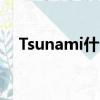 Tsunami什么意思（tsunami什么意思）