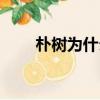 樸樹為什么沒錢（樸樹為什么缺錢）