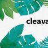 cleavage怎么讀（cleavage）
