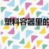 塑料容器里的青苔該怎么處理?（塑料容器）