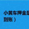 小黃車押金是不是不退了（小黃車押金一直不到賬）