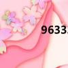96333電梯監管平臺（963）