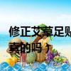修正艾草足貼去濕氣是真的嗎（足貼去濕氣是真的嗎）