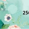 256是什么意思（256）
