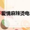 愛情麻辣燙電視劇演員（愛情麻辣燙演員表）
