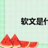 軟文是什么樣子的（軟文是什么）