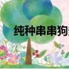 純種串串狗多少錢一只（串串狗中型犬）