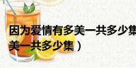 因為愛情有多美一共多少集呀(因為愛情有多美一共多少集)
