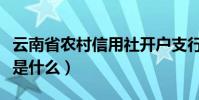 云南省農村信用社開戶支行是什么(開戶支行是什么)