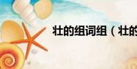 壯的組詞組(壯的組詞)