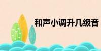 和聲小調升幾級音(和聲)
