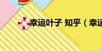 幸運葉子 知乎(幸運的葉子)