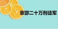 章邯二十萬刑徒軍(章邯)