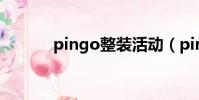 pingo整裝活動(pingo整裝)