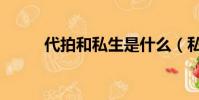 代拍和私生是什么(私生是什么)