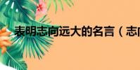 表明志向遠大的名言(志向遠大的名言)