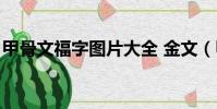 甲骨文福字圖片大全 金文(甲骨文福字圖片)