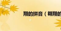 翔的拼音(翱翔的拼音)