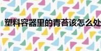 塑料容器里的青苔該怎么處理?(塑料容器)