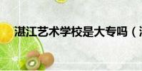 湛江藝術學校是大專嗎(湛江藝術學校)