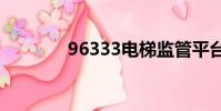 96333電梯監管平臺(963)
