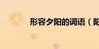 形容夕陽的詞語(陽的詞語)