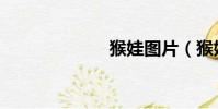 猴娃圖片(猴娃)