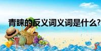 青睞的反義詞義詞是什么?(青睞近義詞)
