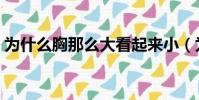 為什么胸那么大看起來小(為什么胸那么大)