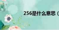 256是什么意思(256)