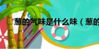 蔥的氣味是什么味(蔥的氣味是什么)