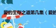 愛的生存之道第幾集(愛的生存之道車震)