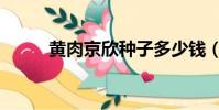 黃肉京欣種子多少錢(黃肉京欣)