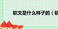 軟文是什么樣子的(軟文是什么)