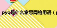 pyq是什么意思網絡用語(pyq是什么意思)