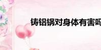 鑄鋁鍋對身體有害嗎(鑄鋁)