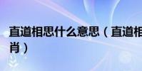 直道相思什么意思(直道相思了無益是什么生肖)
