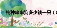 純種串串狗多少錢一只(串串狗中型犬)
