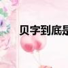 貝字到底是什么結構（貝是什么結構）