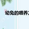 幼兔的喂養方法 喂藥（幼兔的喂養方法）