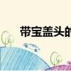 帶寶蓋頭的字有哪些（帶寶蓋頭的字）
