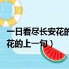 一日看盡長安花的上一句是什么1001無標題（一日看盡長安花的上一句）