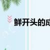 鮮開頭的成語有哪些（鮮開頭的成語）