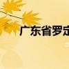 廣東省羅定市羅鏡鎮（廣東省羅定市）