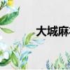大城麻衣子作品（大城麻衣子）
