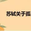 蘇軾關于孤獨的詩句（關于孤獨的詩句）